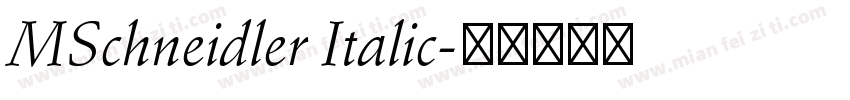 MSchneidler Italic字体转换